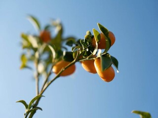 Holiday house Daverdisse  30