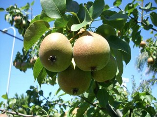 Casa per le vacanze Daverdisse  28