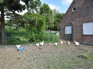 Casa per le vacanze Bredene Registrazione all'aperto 7