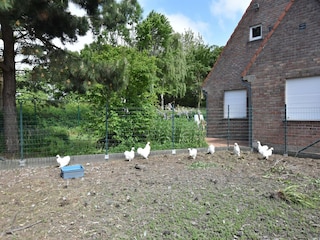 Ferienhaus Bredene Außenaufnahme 5