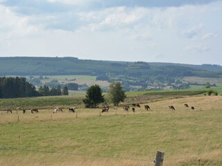 Vakantiehuis Bouillon Omgeving 33