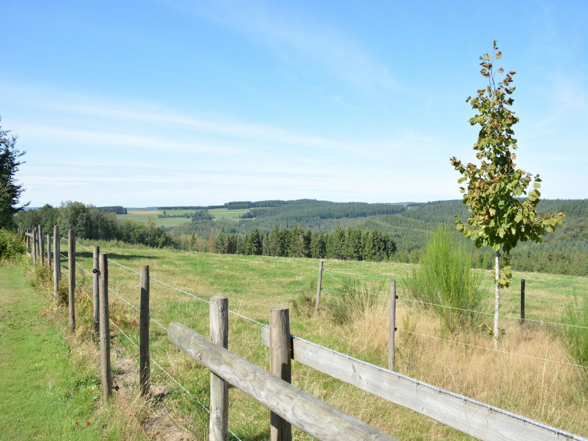 Chalet Vresse-sur-Semois Außenaufnahme 6