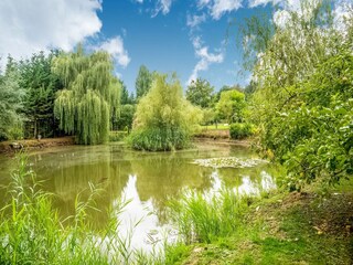 Vakantiehuisje Maredret Omgeving 33