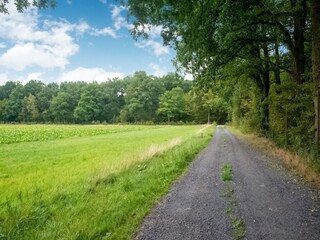 Vakantiehuisje Maredret Omgeving 30