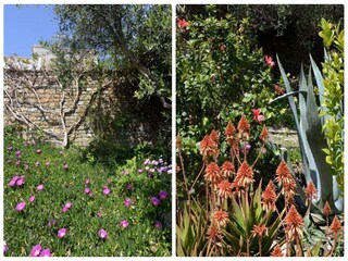 Villa Finikounda Buitenaudio-opname 8