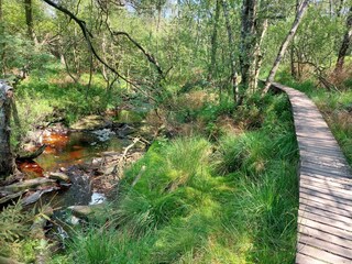 Casa de vacaciones Robertville Entorno 34