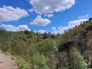 Vakantiehuis Robertville Omgeving 32