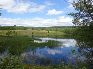 Vakantiehuis Robertville Omgeving 26