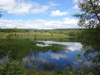 Vakantiehuis Robertville Omgeving 30