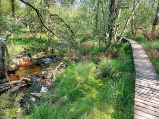 Vakantiehuis Robertville Omgeving 36