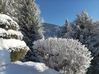 Casa per le vacanze Černý Důl Ambiente 36