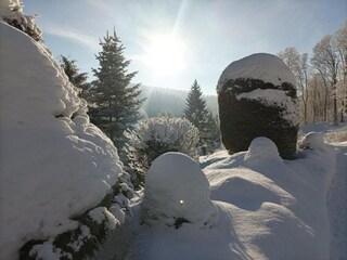 Casa per le vacanze Černý Důl Ambiente 37