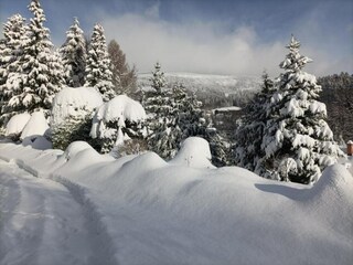 Casa per le vacanze Černý Důl Ambiente 40