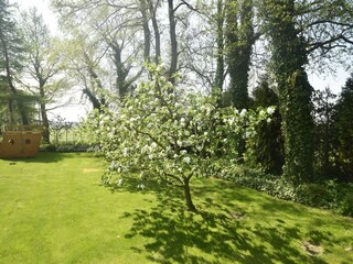 Holiday house Czarny Mlyn Outdoor Recording 5