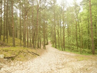 Vakantiehuis Czarny Mlyn Omgeving 29