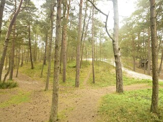 Holiday house Czarny Mlyn Environment 29