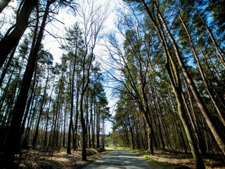 Vakantiehuis Czarny Mlyn Omgeving 32