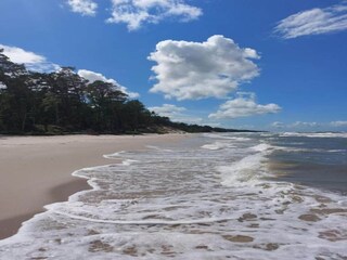 Maison de vacances Czarny Mlyn Environnement 30