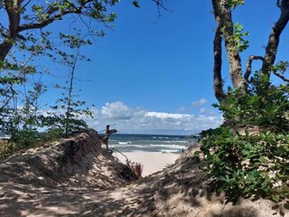 Ferienhaus Czarny Mlyn Umgebung 37