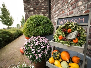 Cottage Lichtervelde  40