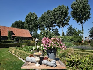 Type de propriété : Chalet Lichtervelde  36