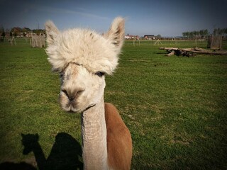 Casa de campo Lichtervelde Grabación al aire libre 8