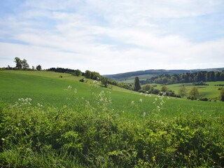 Vakantiehuis Sainte-Ode Omgeving 27