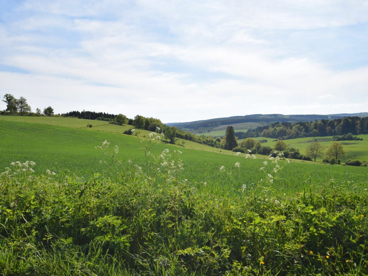 Ferienhaus Sainte-Ode Umgebung 23