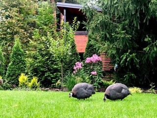 Casa de vacaciones Zentral- und Ostpolen Grabación al aire libre 15
