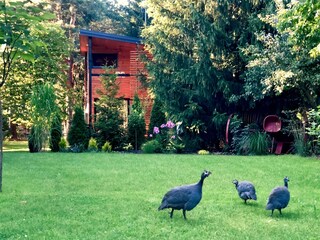 Casa de vacaciones Zentral- und Ostpolen Grabación al aire libre 9