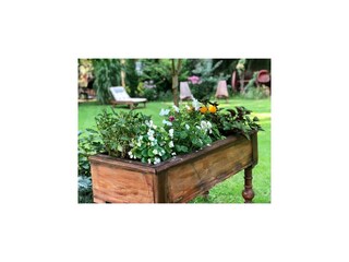 Vakantiehuisje Zentral- und Ostpolen Buitenaudio-opname 6