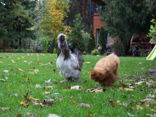 Casa vacanze Zentral- und Ostpolen Registrazione all'aperto 14