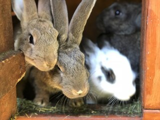 Vakantiehuisje Zentral- und Ostpolen  45