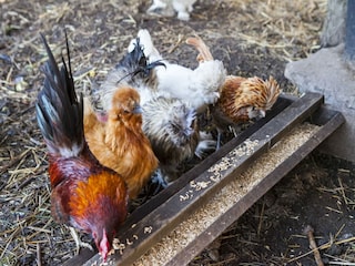 Vakantiehuisje Zentral- und Ostpolen  46