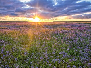 Casa per le vacanze Den Burg Ambiente 33