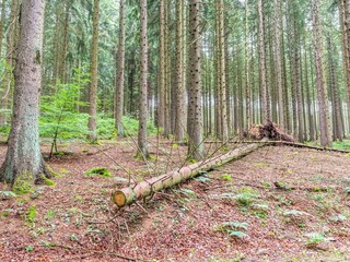 Ferienhaus Trois-Ponts Umgebung 32