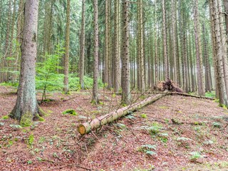 Ferienhaus Trois-Ponts Umgebung 31