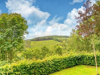 Ferienhaus Trois-Ponts Außenaufnahme 9