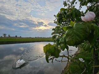 Casa per le vacanze Veurne Ambiente 33