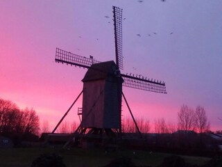 Vakantiehuis Veurne Omgeving 32