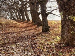 Appartamento Jáchymov Ambiente 31