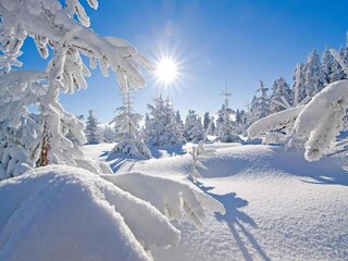 Apartamento Jáchymov Entorno 34