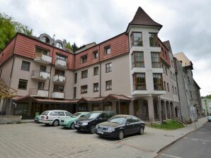 Apartment Gemütliche Ferienwohnung in Jackymov nahe dem Skigebiet - Jáchymov - image1