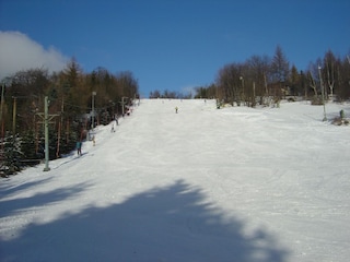 Ferienhaus Rübenau Umgebung 29