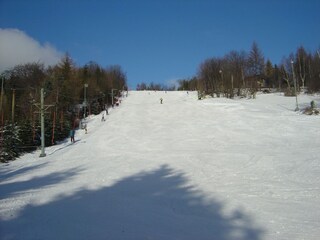 Maison de vacances Rübenau Environnement 29
