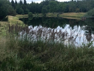 Ferienhaus Rübenau Umgebung 24