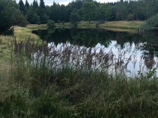 Vakantiehuis Rübenau Omgeving 24