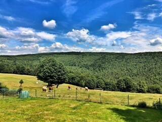 Casa per le vacanze Rübenau Ambiente 28