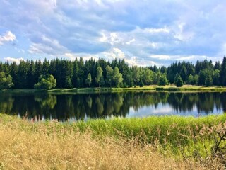 Vakantiehuis Rübenau Omgeving 37