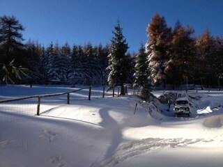 Maison de vacances Rübenau Environnement 26